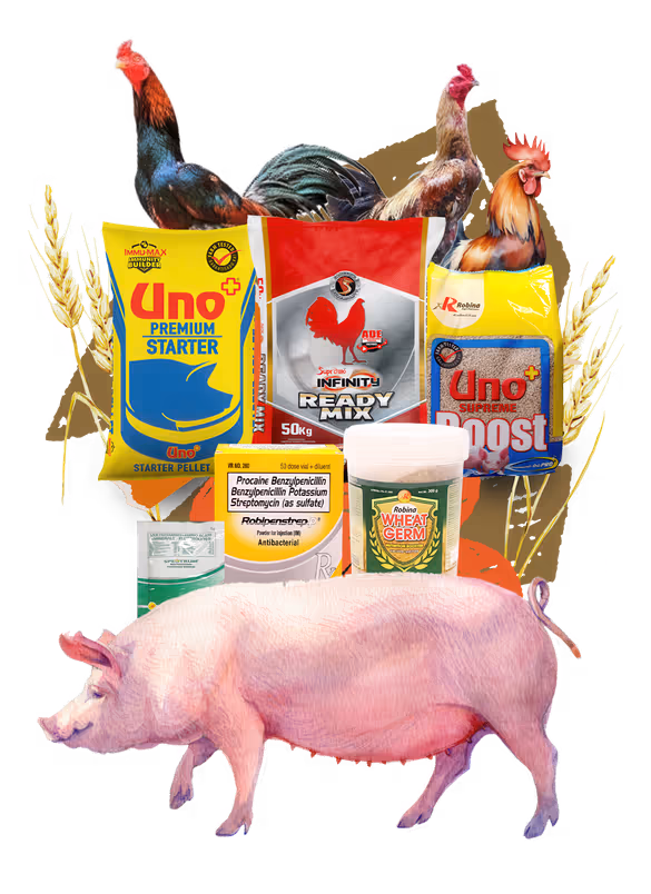 Animal Health & Nutrition graphic