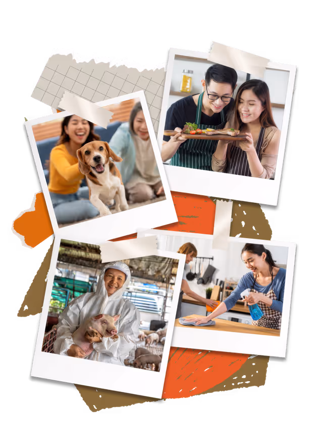 Animal Health & Nutrition collage